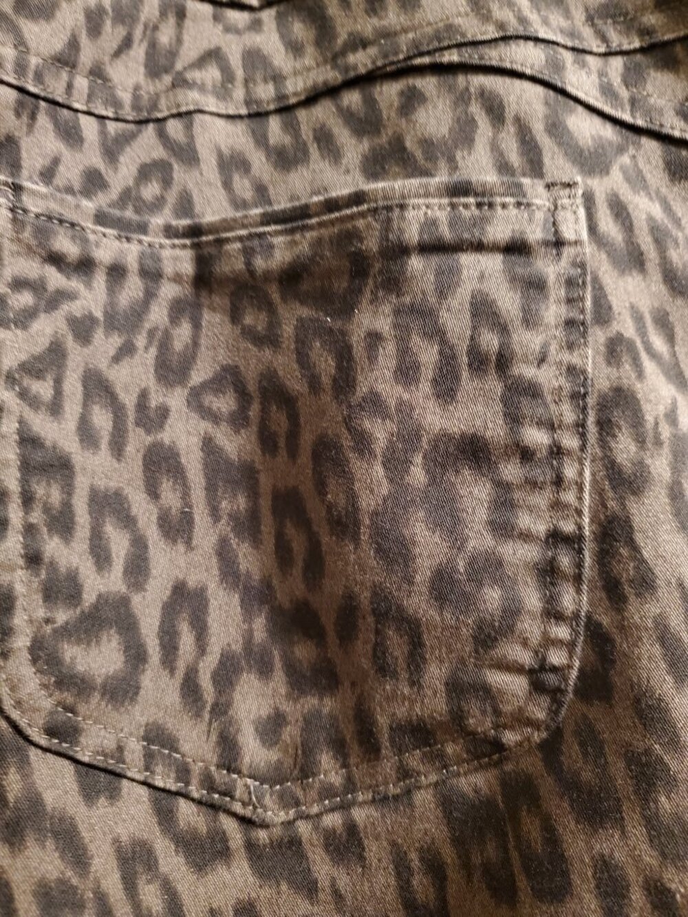 Leopard Pants - Picture 3 of 6
